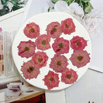 décoration intérieure fleurs séchées naturelles rouge rose jaune anniversaire mariage baby shower