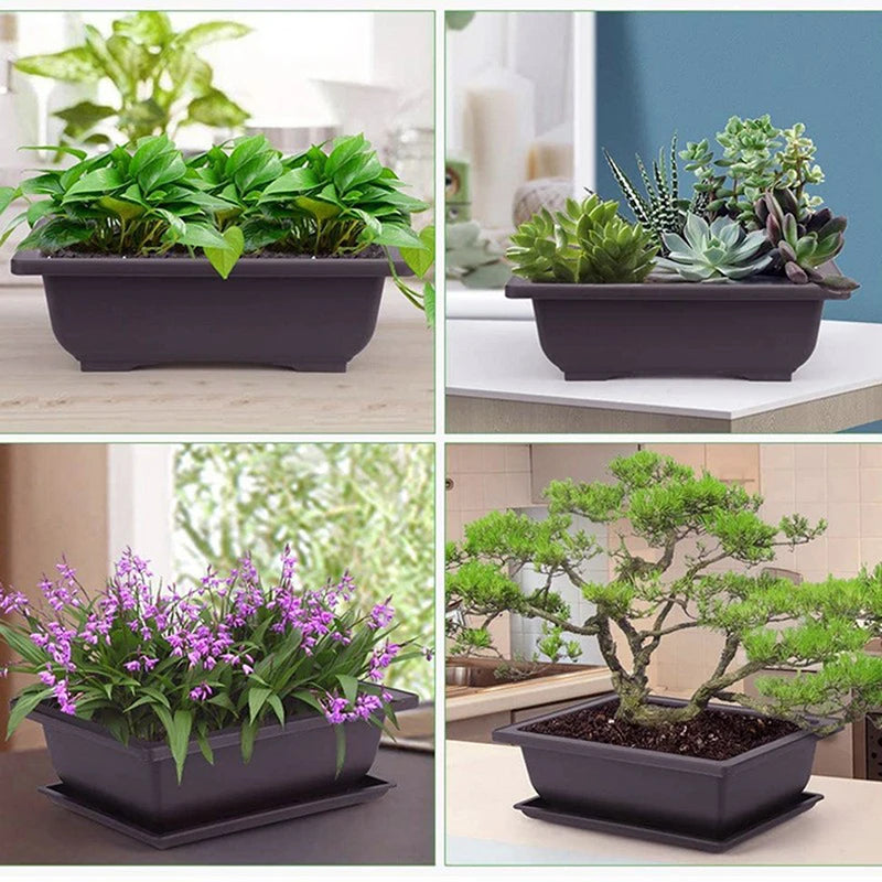 pot plantes rectangulaire moderne marron foncé grille drainage support base plastique