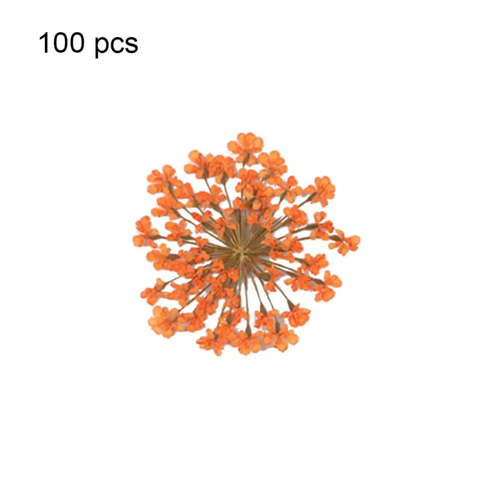 fleurs séchées pressées coque téléphone transparente arbre fleurs roses naturel artisanat bijoux 100 pièces
