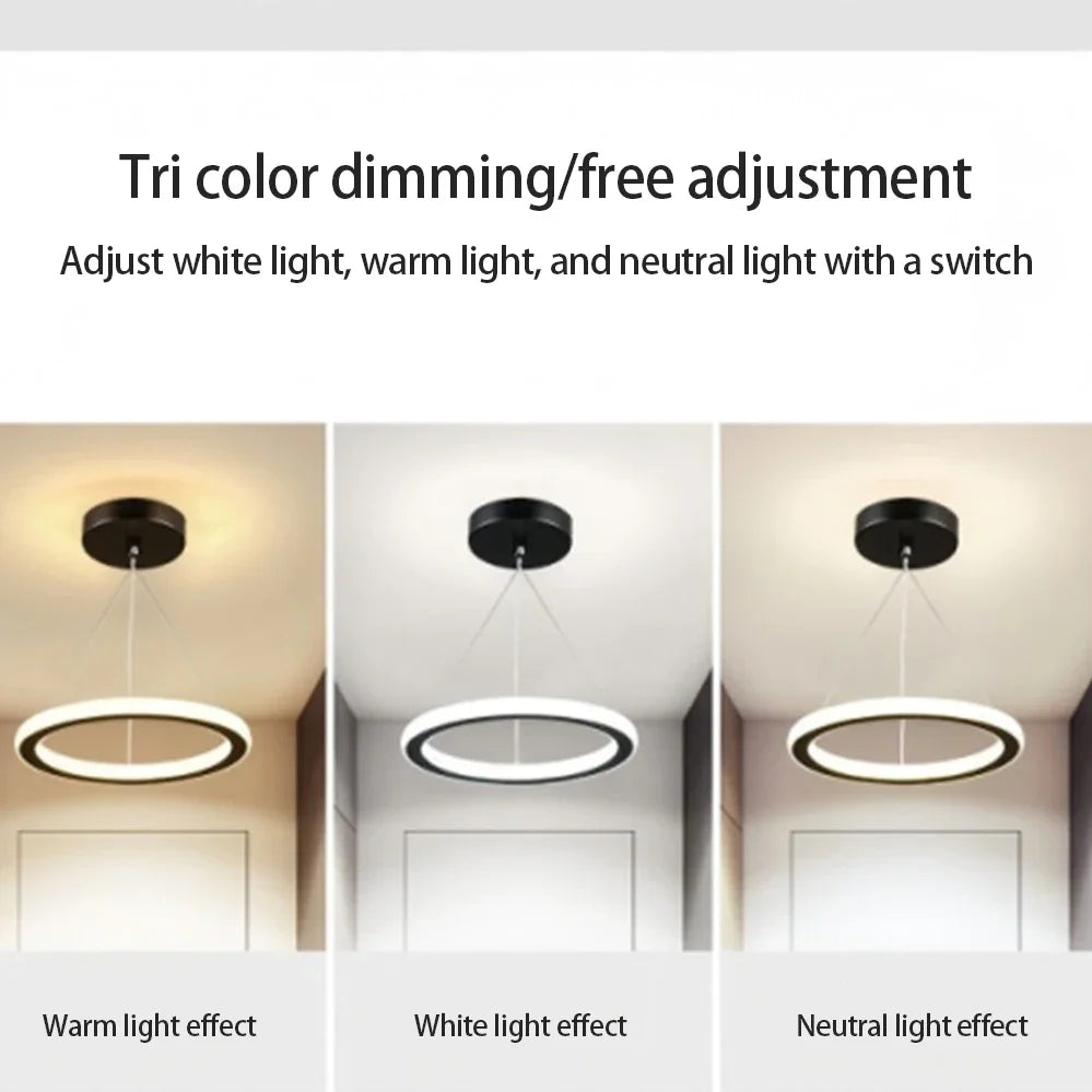 lampe suspendue moderne couleurs noir blanc doré anneau concentrique opacité(touches) led aluminium