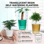 pots plantes auto arrosants résine translucide couleurs blanc vert jaune nervures vintage
