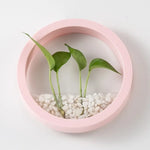 pots plante hydroponique mural noir blanc rose bleu moderne minimaliste fixation murale