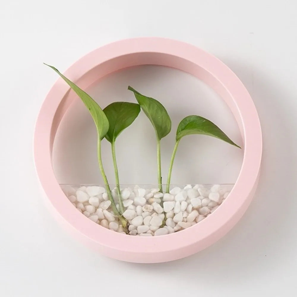 pots plante hydroponique mural noir blanc rose bleu moderne minimaliste fixation murale