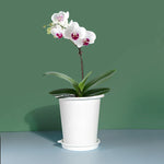 pots fleurs plastique blanc moderne double couche conteneur plantes intérieur plateau jardin 12cm