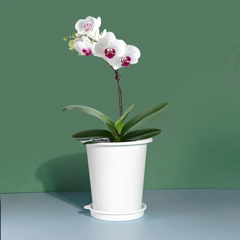 pots fleurs plastique blanc moderne double couche conteneur plantes intérieur plateau jardin 12cm