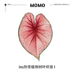 coasters feuilles tropicales vert blanc rose moderne respectueux environnement set 4pcs 5pcs