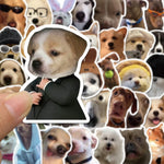 sticker chien expression faciale divers couleurs adhésif decoratif humour kawaii telephone waterbottle decoration 10pcs