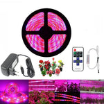 ruban led culture végétale 12v rouge rose blanc moderne télécommande adaptateur électrique
