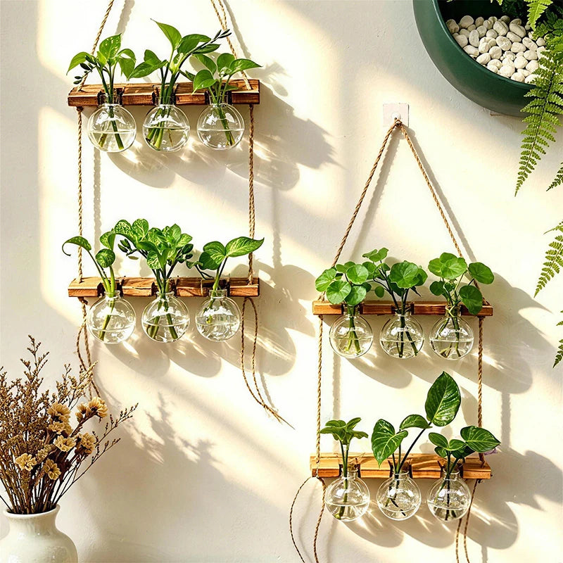 support mural plantes suspendues bois naturel verre transparent motifs végétaux rustique minimaliste cordon suspension