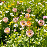 abreuvoir oiseaux céramique station abreuvement abeilles bain papillons piquet jardin décoration extérieur fleurs rouges