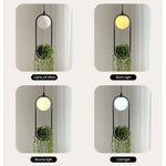 suspension végétale moderne plante artificielle lumière sphère lumineuse noir blanc vert minimaliste