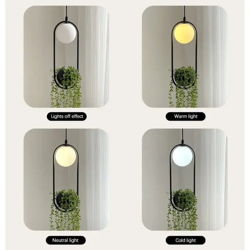 suspension végétale moderne plante artificielle lumière sphère lumineuse noir blanc vert minimaliste