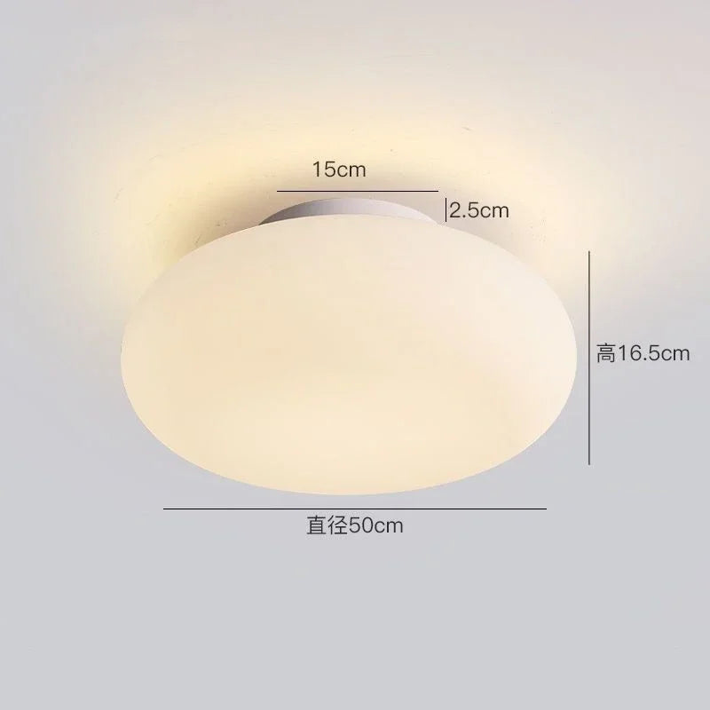 luminaire suspendu ovale moderne acrylique blanc 3000K 6000K salon chambre