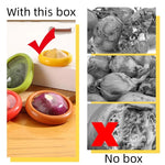 boîtes conservation alimentaire transparentes réutilisables couleurs vives moderne respectueuses l'environnement adhésifs variées