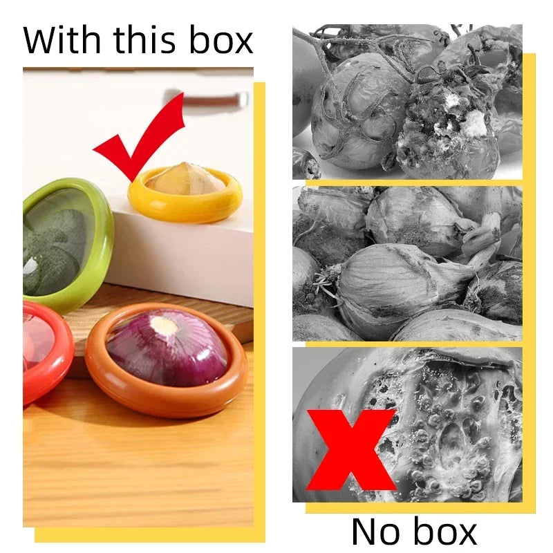 boîtes conservation alimentaire transparentes réutilisables couleurs vives moderne respectueuses l'environnement adhésifs variées