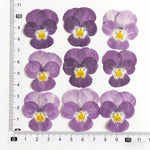 fleurs pressées violettes jaunes oranges decoration moderne assiette decoupe anniversaire intérieur maison