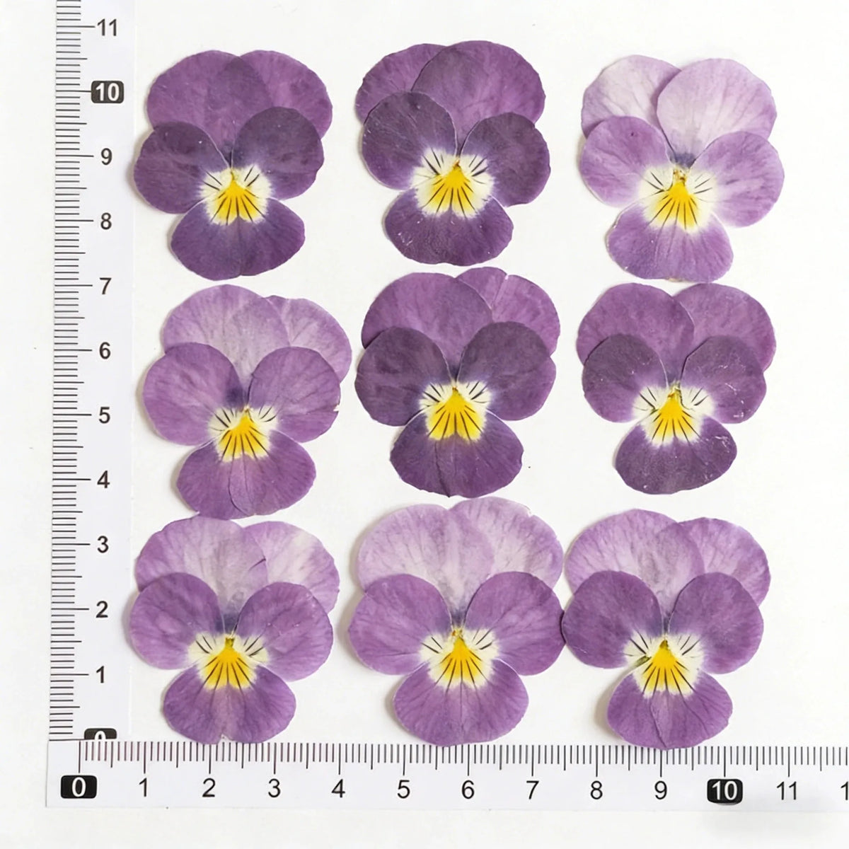 fleurs pressées violettes jaunes oranges decoration moderne assiette decoupe anniversaire intérieur maison
