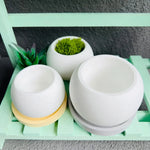 cache pot blanc silicone moderne plateau bois 9.3cm 6.5cm decoration fleurs bougies ciment succulentes