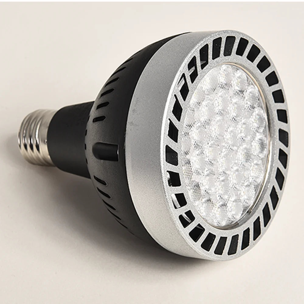 Ampoule LED 2000 lumens blanc chaud 35w 45w E27 moderne argent noir