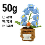 plantes crochet décoratives pots fleurs artisanales couleur blanc vert marron rose jaune bleu