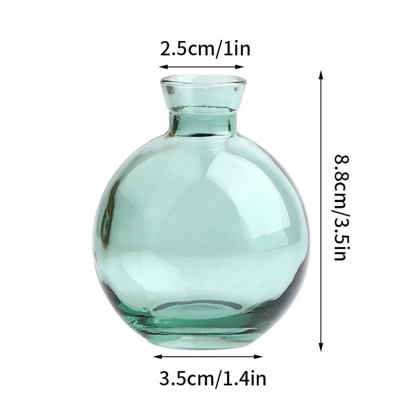 vase verre transparent moderne rose décoration intérieur hydroponique fleuri table studio