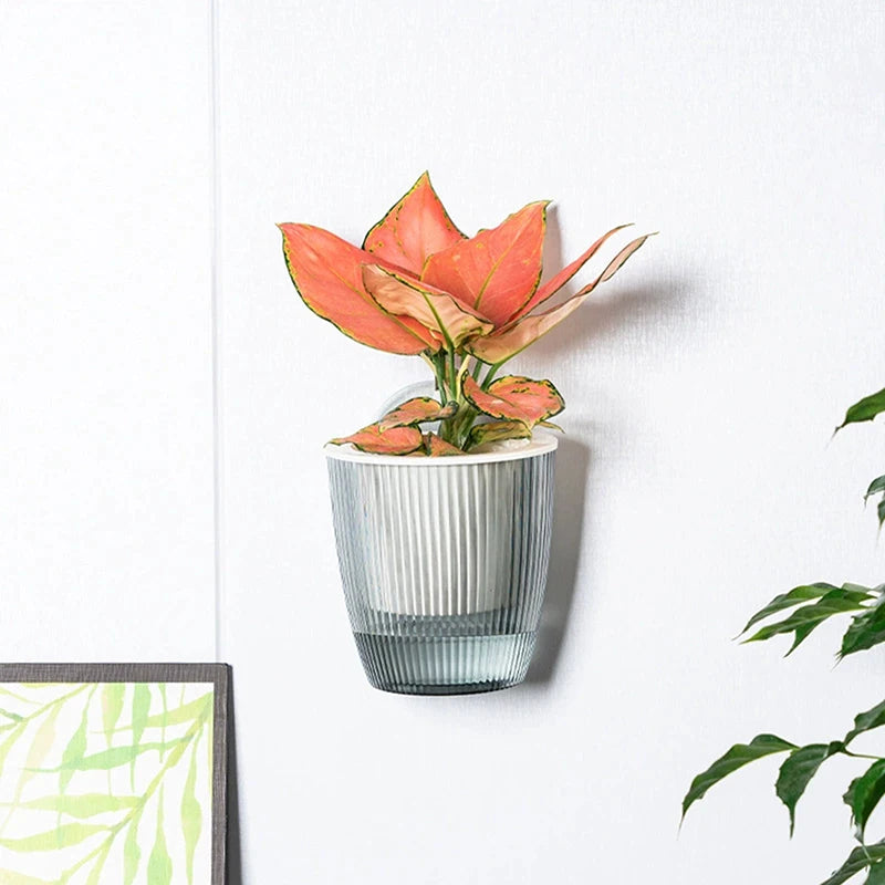pots fleurs muraux modernes semi transparents couleurs vives motif riblé fixations murales plante décoration