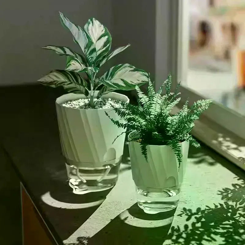 plantes vertes pot autoarrosant plastique moderne transparent feuilles brillantesintérieur opaquet
