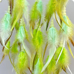 Une vive explosion de couleurs vertes et jaunes dans un ensemble de plumes délicates.