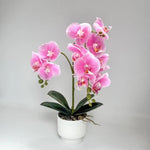 décoration intérieure orchidées artificielles fleurs douces rose blanc pot blanc gravier moderne élégant accroché