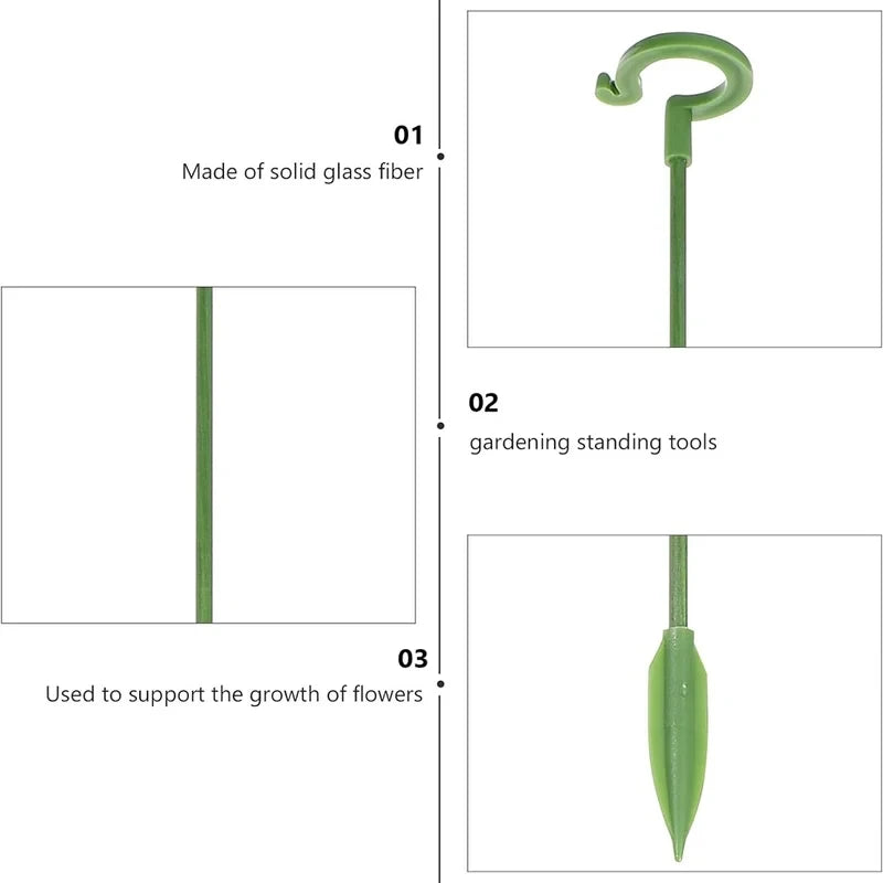 supports plantes tige vert robuste 37cm 27cm 17cm anneau jardinage fleur grimpantes moderne