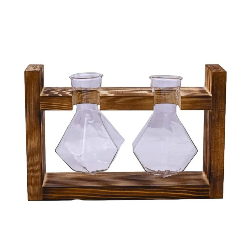 vases transparents modernes verre rond geometrique decoration plante verte