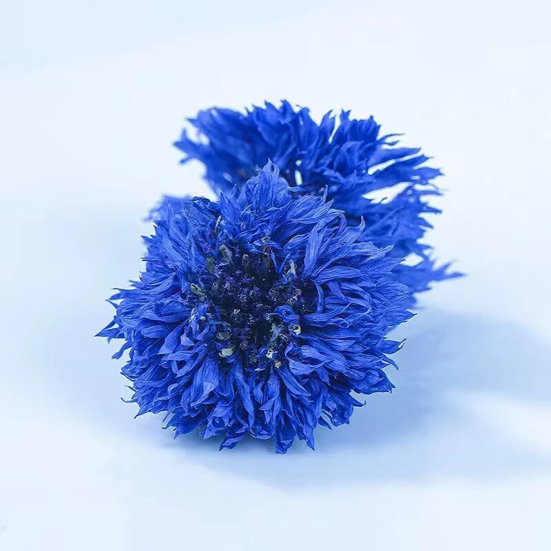 fleurs séchées bleues naturelles décoration maison mariage anniversaire baby shower intérieur artisanat
