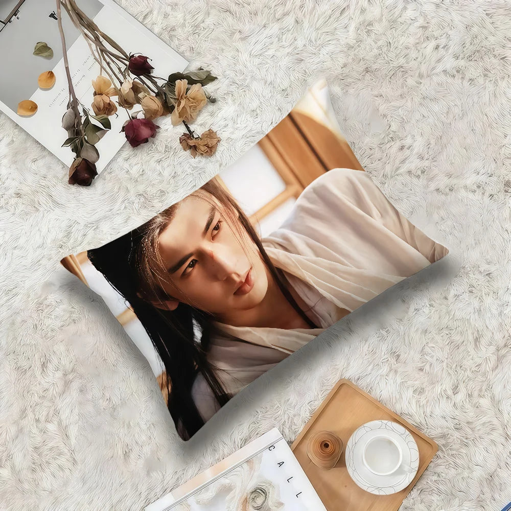 housse coussin imprimée polyester blanc personnage moderne 19x30in 16x24in 20x28in double face eyelets lit