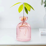 Pot plante moderne transparent coloré hauteur 15cm eau plante inclusion rose orange bleu vert