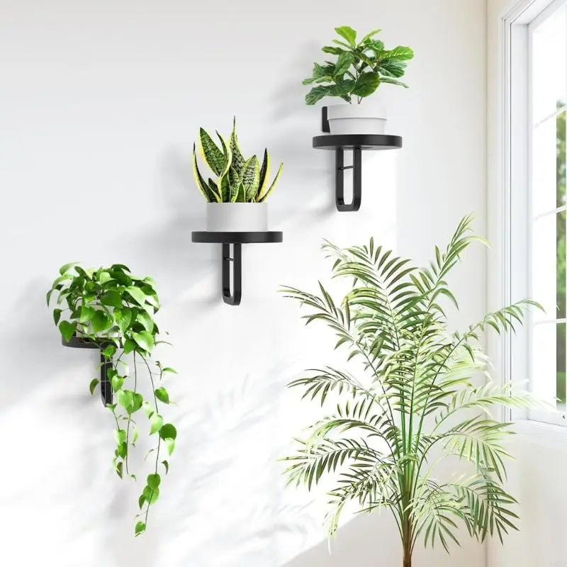 porte plantes mural noir minimaliste vis pot blancintérieur modernestyle plat lisse
