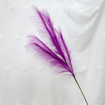 plumes décoratives intérieures violet bleu rose jaune orange blanc rouge naturel simple