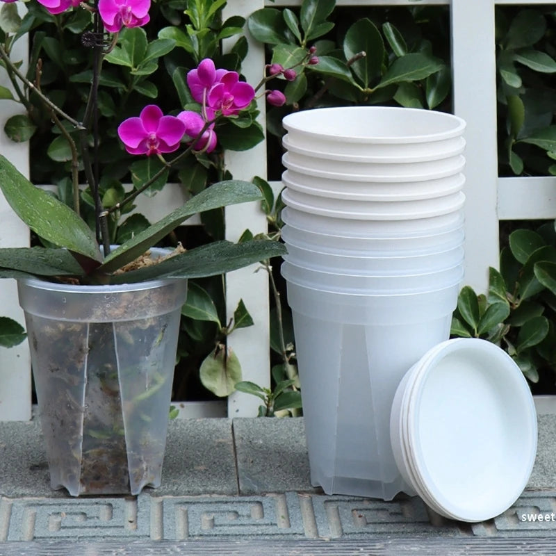 pots plante moderne auto arrosants transparents blancs hydroponiques lazy eyelets