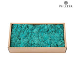 mousse séchée naturelle décorative fleurs séchées rustiques vert rose bleu violet maison intérieur