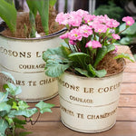 pots fleurs métal vintage rustique blanc crème bronze cyclamen tulipes succulentes bonsaï drainageextérieur balcon