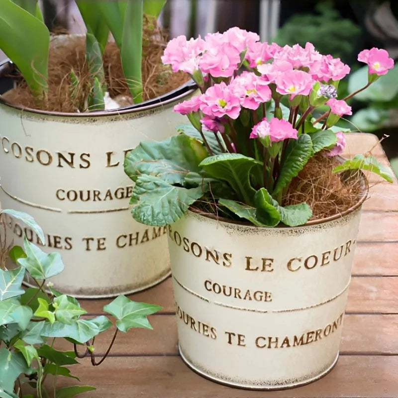 pots fleurs métal vintage rustique blanc crème bronze cyclamen tulipes succulentes bonsaï drainageextérieur balcon