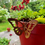papillon ajouré rustique pot fleurs terracotta geraniums vintage extérieur jardinage