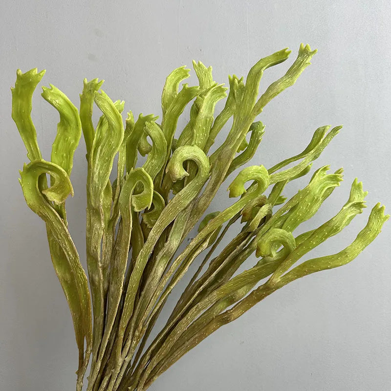feuilles fougère séchées vertes décoration maison anniversaire arrangement floral vase intérieur naturel plastique