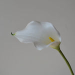 fleurs artificielles calla lily blanc rose orange vases transparents mariage anniversaireintérieurDecorationMinimaliste