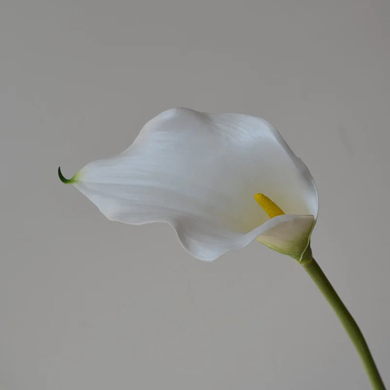 fleurs artificielles calla lily blanc rose orange vases transparents mariage anniversaireintérieurDecorationMinimaliste