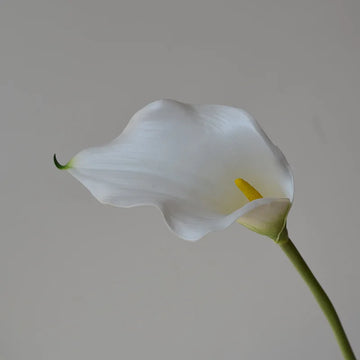 fleurs artificielles calla lily blanc rose orange vases transparents mariage anniversaireintérieurDecorationMinimaliste
