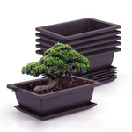 pot plantes rectangulaire moderne marron foncé grille drainage support base plastique