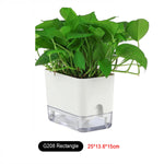pots plantes auto arrosants blancs moderne grille drainage transparent minimaliste