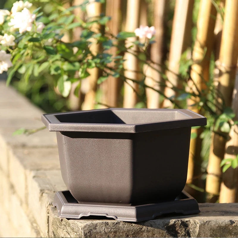 pot plante jardin extérieur marron moderne grille drainage fleurs succulentes bonsaï