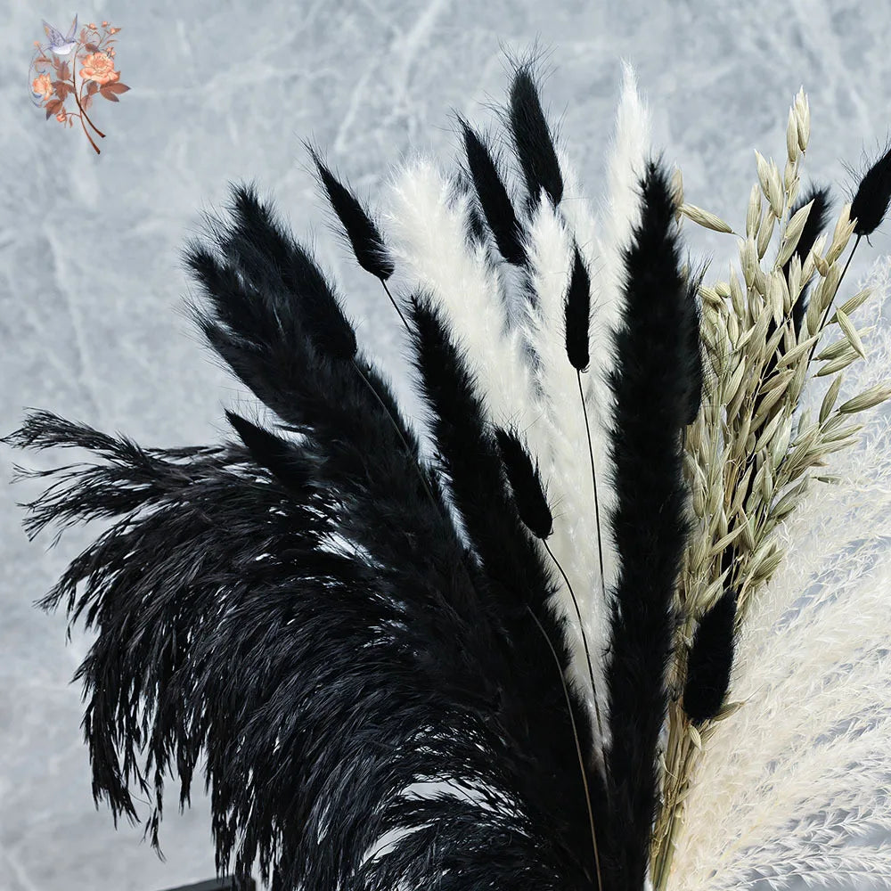 bouquet pampas séchés noir blanc décoration maison halloween anniversaire boho festive