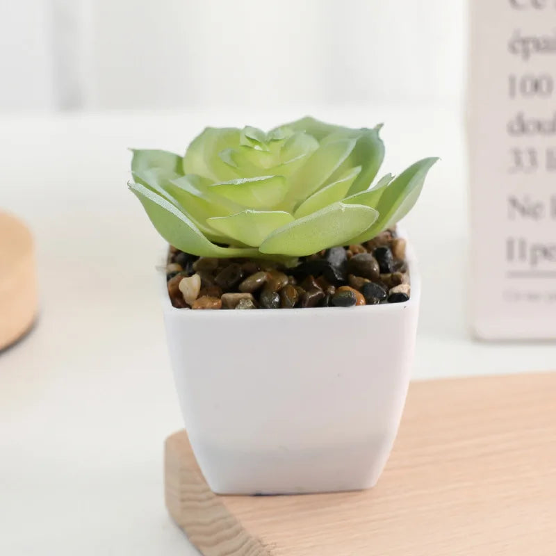 plantes succulentes artificielles vert rouge marron moderne minimaliste intérieur décoration maison